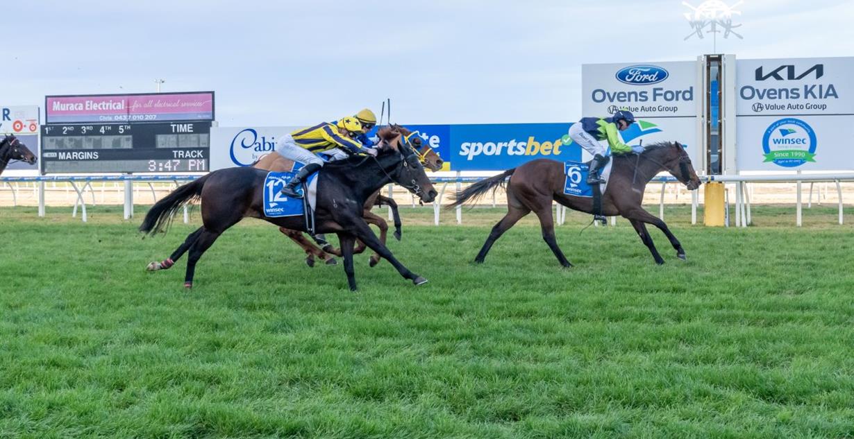 Hot Chips - Wangaratta 5th July 2025